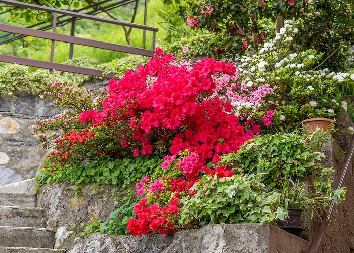 Apartment Bellavista Garden And Flowers Varenna