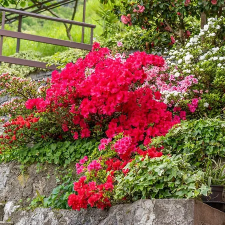 Апартаменты Bellavista Garden And Flowers Варенна